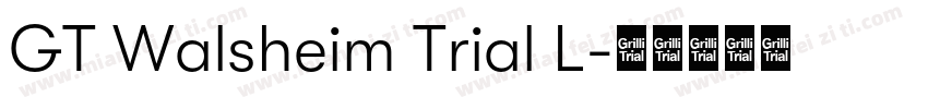 GT Walsheim Trial L字体转换